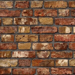 Adawall Roka 23104-4
