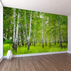 Huş Ormanı Duvar Posteri Huş Ormanı Duvar Posteri