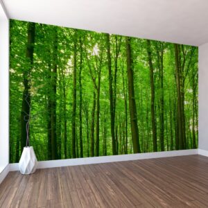 Yaprak Açan Orman Duvar Kağıdı Yaprak Açan Orman Duvar Kağıdı