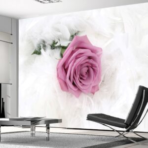 Pembe Gül Duvar Posteri Pembe Gül Duvar Posteri