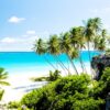 Körfez Sahil Barbados Duvar Posteri