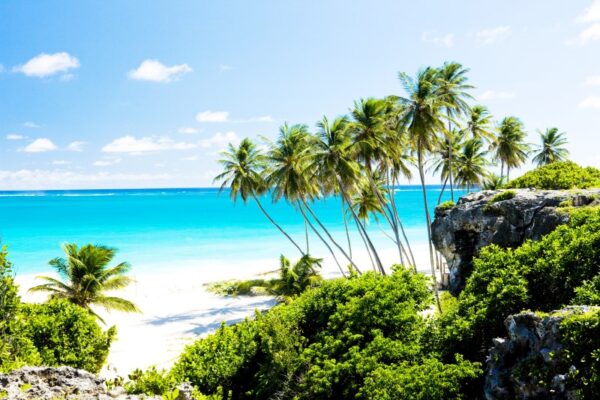 Körfez Sahil Barbados Duvar Posteri