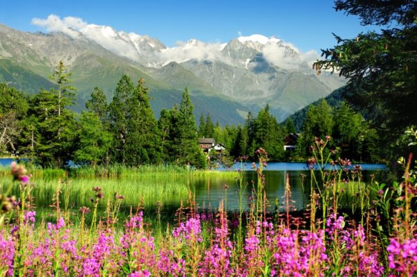 İsviçre Lac De Champex Duvar Posteri