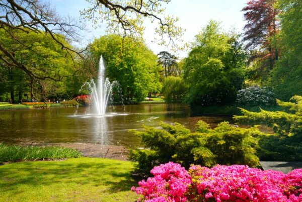 Güneşli Şelale ve Çiçekli Park Duvar Posteri