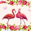 Flamingolar 3D Duvar Posteri