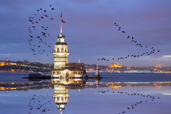 Kız Kulesinde Kuşlar Duvar Posteri