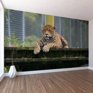 Jaguar Duvar Posteri Jaguar Duvar Posteri