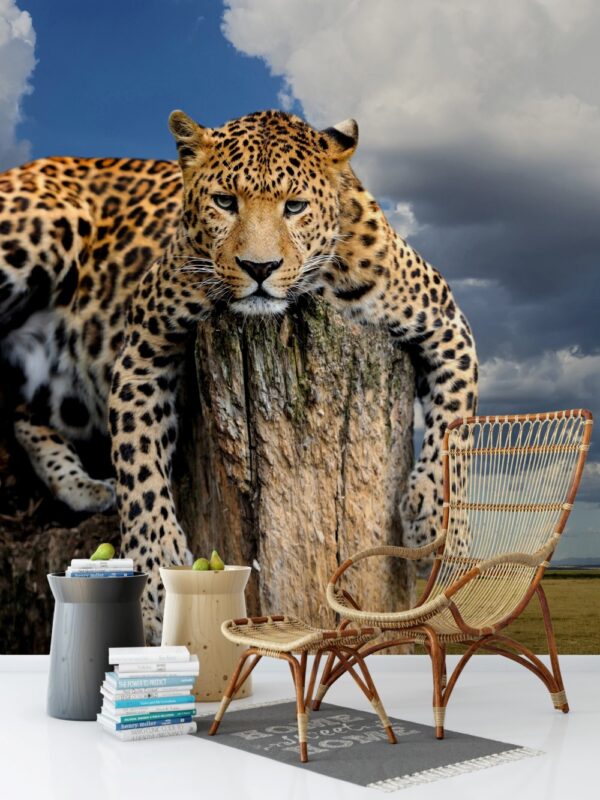 Jaguar Duvar Kağıdı N603