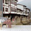 Amasya Evleri Duvar Posteri
