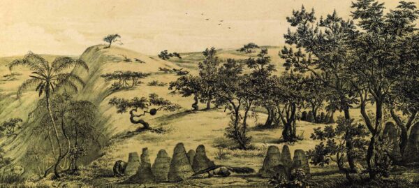 3D Çizimler ve Gravürler Duvar Kağıdı - GTS3D-0056 3D Çizimler ve Gravürler Duvar Kağıdı - GTS3D-0056
