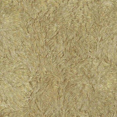 Roberto Cavalli Home 5 RC16044 İthal Duvar Kağıdı