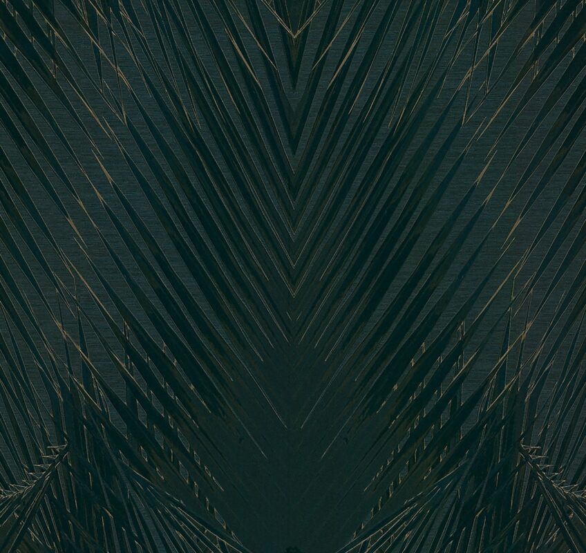 Roberto Cavalli Home 6 RC17005 İthal Duvar Kağıdı Roberto Cavalli Home 6 RC17005 İthal Duvar Kağıdı
