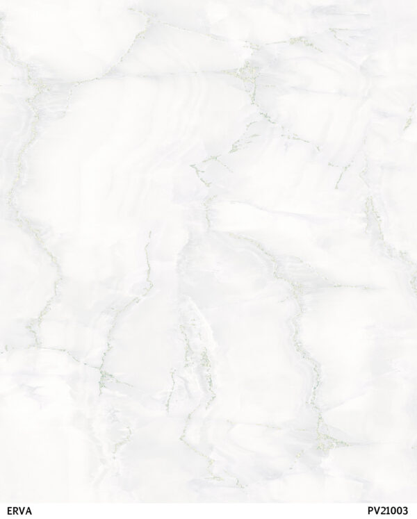 ERVA PV21003 İthal Duvar Kağıdı