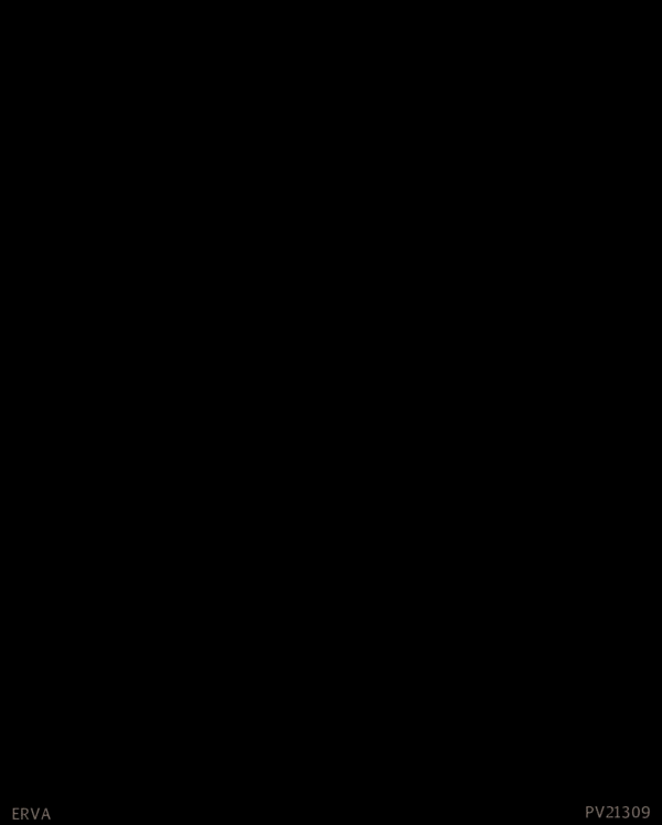 ERVA PV21309 İthal Duvar Kağıdı